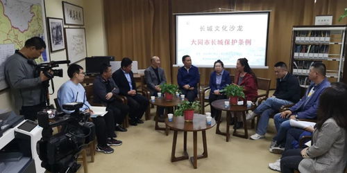 大同長城保護條例 文化沙龍第三期共獻良策，藝術活動策劃為保護賦能